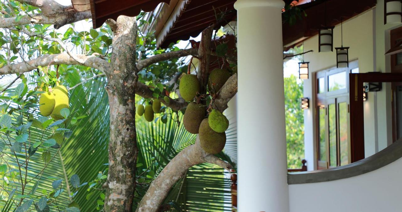 ווליגאמה Terrace Garden Ayurveda Resort מראה חיצוני תמונה