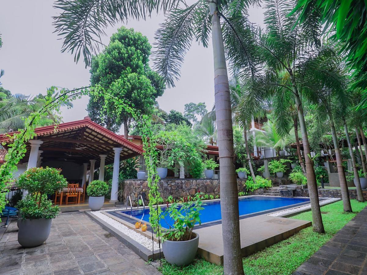 ווליגאמה Terrace Garden Ayurveda Resort מראה חיצוני תמונה
