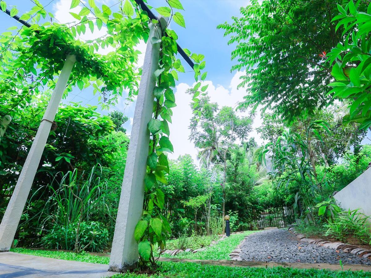 ווליגאמה Terrace Garden Ayurveda Resort מראה חיצוני תמונה