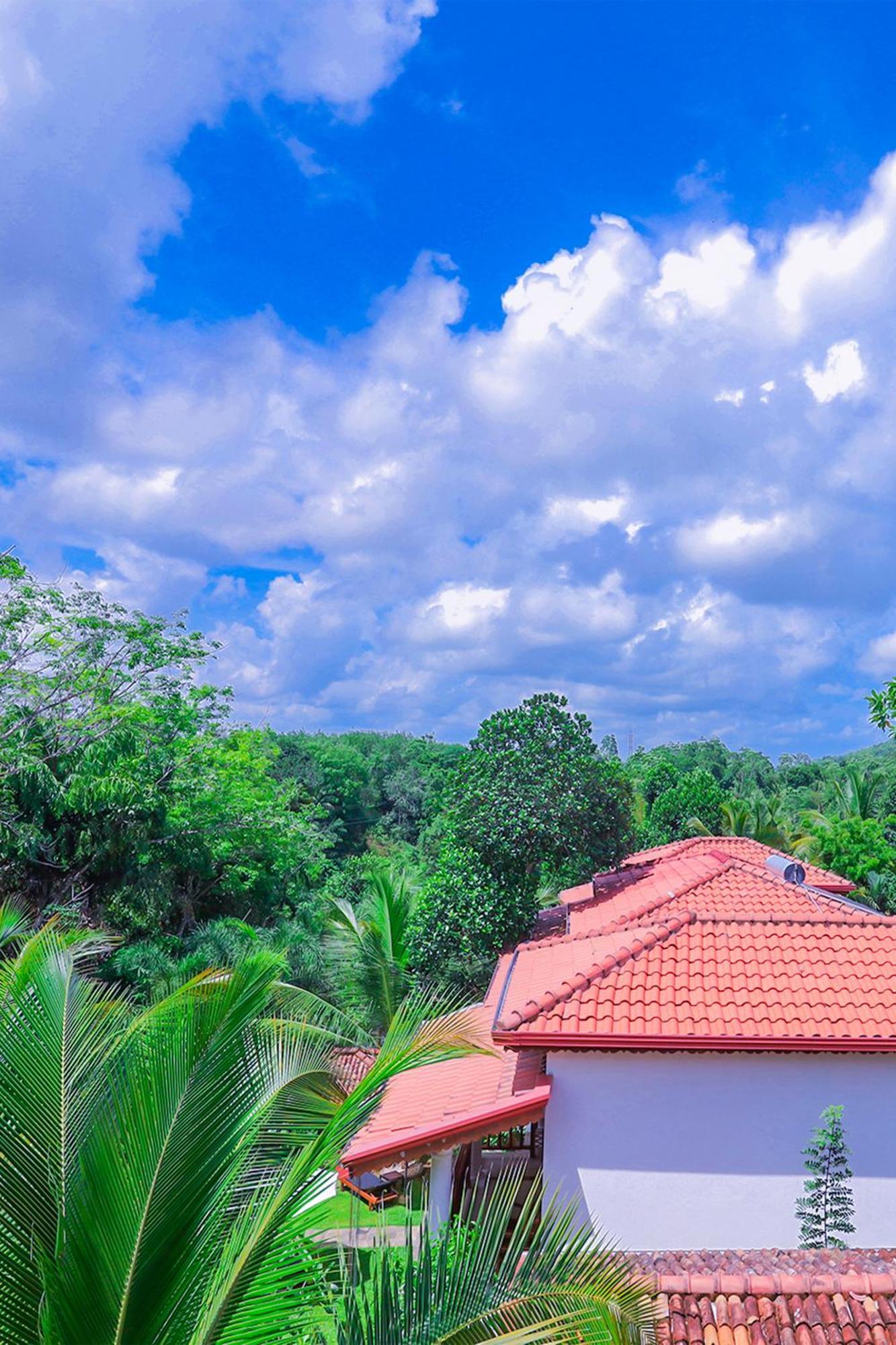 ווליגאמה Terrace Garden Ayurveda Resort מראה חיצוני תמונה